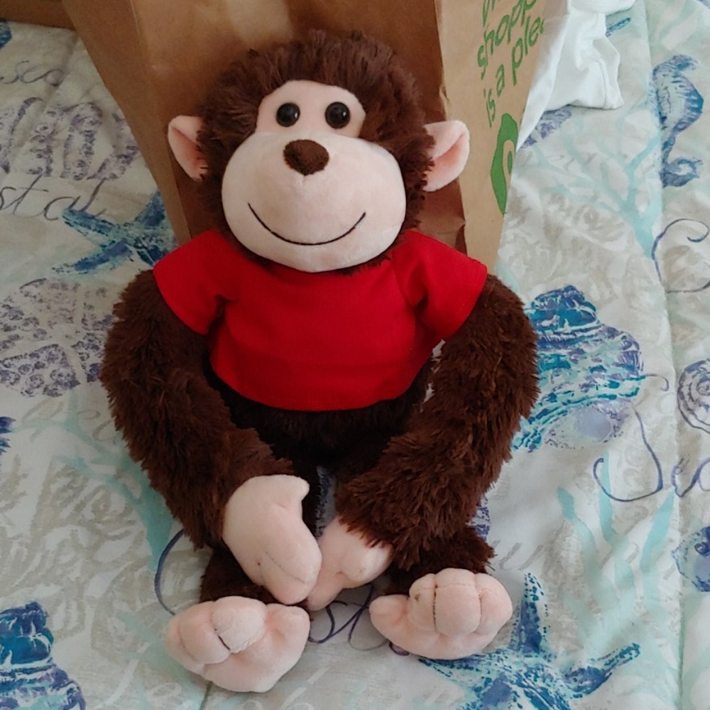 Swanson talking plush monkey